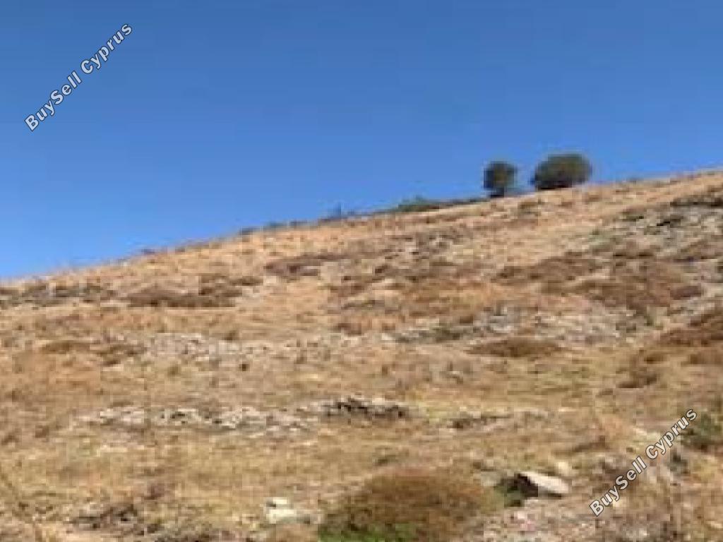 5,017 SQM Land for sale in Episkopi Pafou, Paphos: https://www.buysellcyprus.com/property-for-sale/paphos/episkopi-pafou/land-for-sale-episkopi-pafou-paphos-1800855.html (www.buysellcyprus.com)