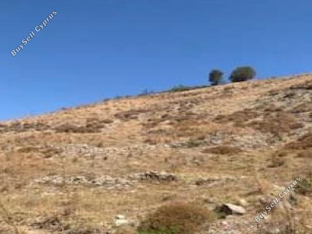 5,017 SQM Land for sale in Episkopi Pafou, Paphos: https://www.buysellcyprus.com/property-for-sale/paphos/episkopi-pafou/land-for-sale-episkopi-pafou-paphos-1800855.html (www.buysellcyprus.com)