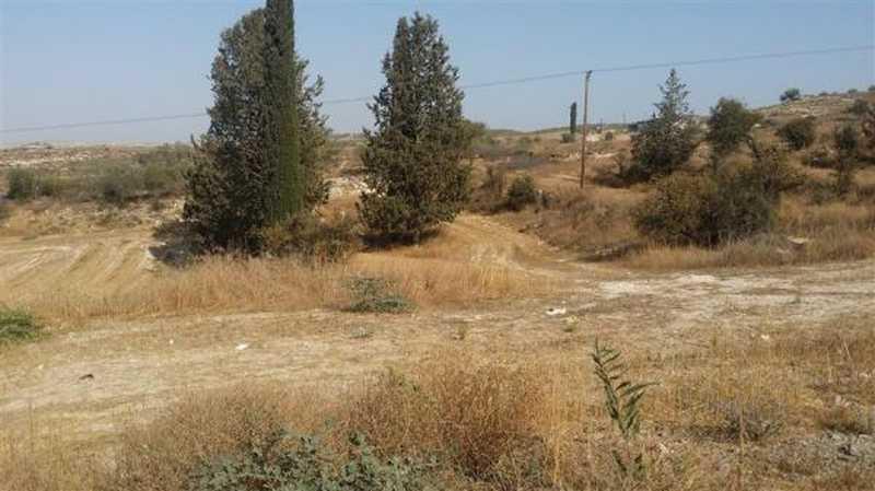 Agricultural land 8417 m²: https://www.bazaraki.com/adv/5796179_agricultural-land-8417-m2 (www.bazaraki.com)