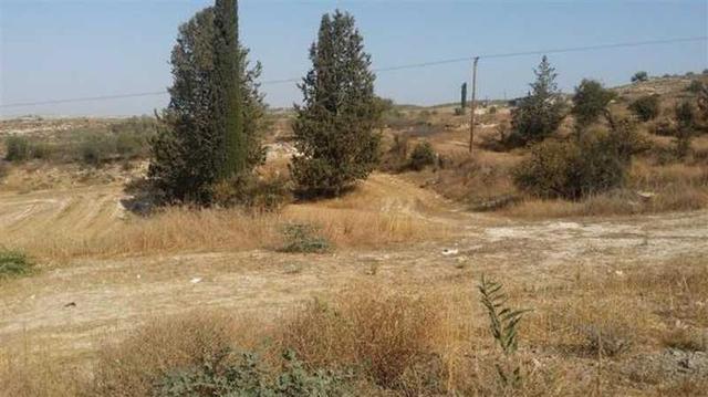 Agricultural land 8417 m²: https://www.bazaraki.com/adv/5796179_agricultural-land-8417-m2 (www.bazaraki.com)