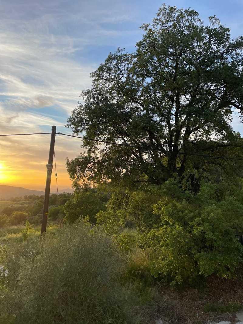 3-bedroom detached house to rent: https://www.bazaraki.com/adv/5787104_3-bedroom-detached-house-to-rent (www.bazaraki.com)