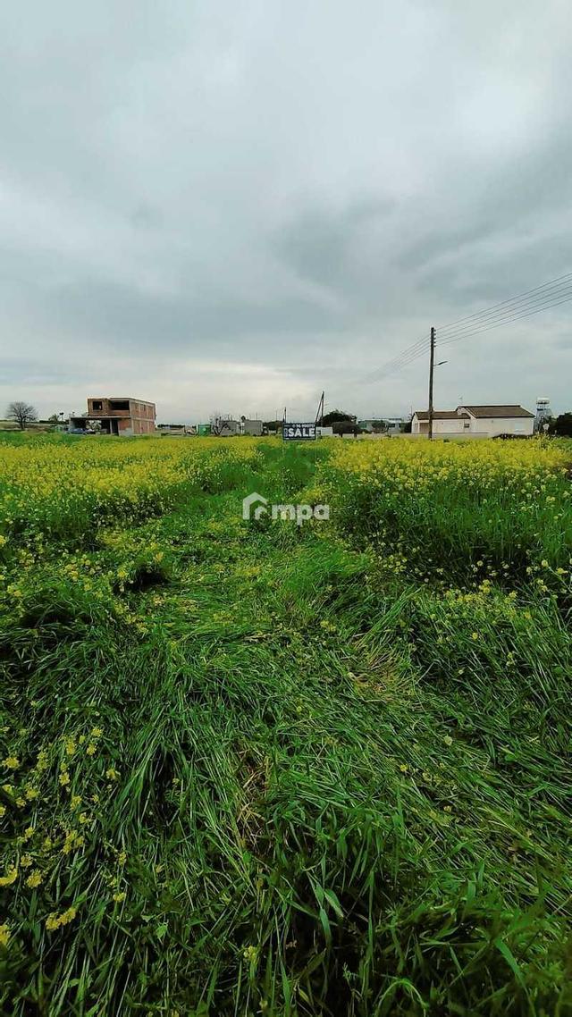 (Share) Residential land 645 m²: https://www.bazaraki.com/adv/5796482_share-residential-land-645-m2 (www.bazaraki.com)