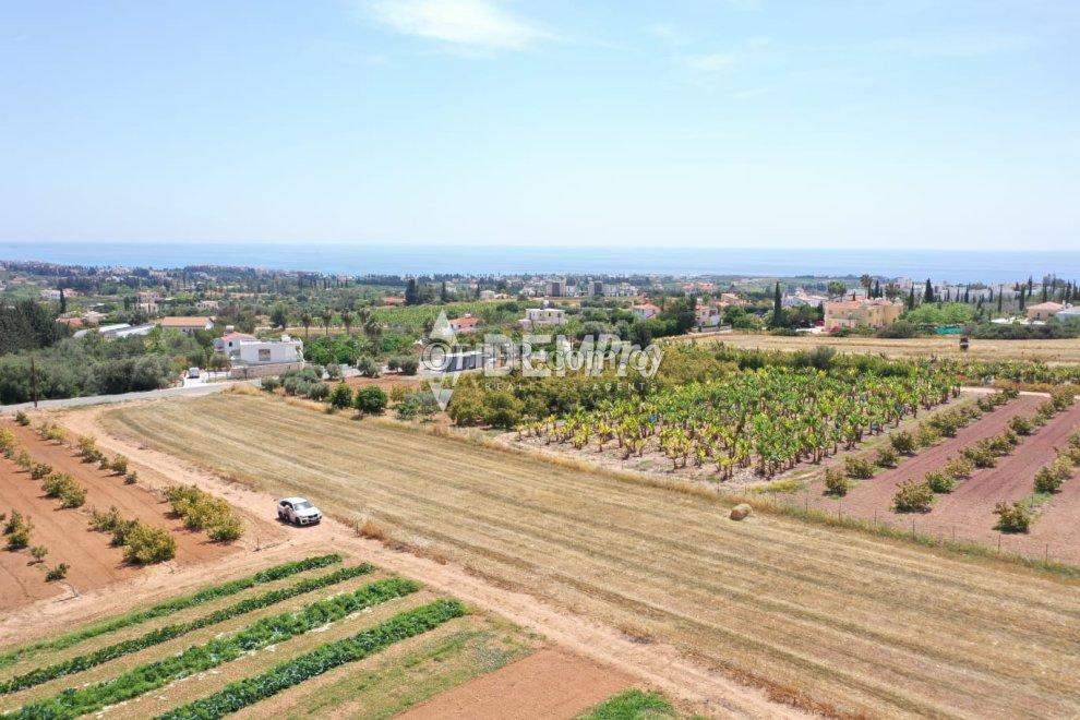 Residential Land For Sale in Peyia, Paphos - DP4818: https://www.offer.com.cy/en/residential-land-for-sale-in-peyia-paphos-dp4818/21-816447/ (www.offer.com.cy)