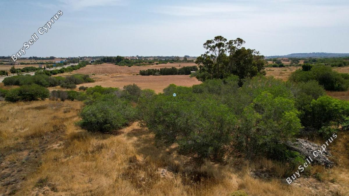 3,165 SQM Agricultural Land for sale in Paralimni, Famagusta: https://www.buysellcyprus.com/property-for-sale/famagusta/paralimni/land-for-sale-paralimni-famagusta-1800642.html (www.buysellcyprus.com)