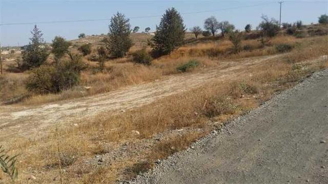 Agricultural land 8417 m²: https://www.bazaraki.com/adv/5796179_agricultural-land-8417-m2 (www.bazaraki.com)
