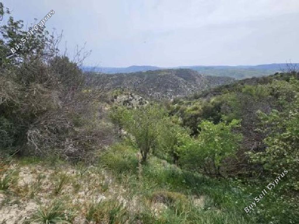 22,074 SQM Agricultural Land for sale in Eledio, Paphos: https://www.buysellcyprus.com/property-for-sale/paphos/eledio/land-for-sale-eledio-paphos-1800856.html (www.buysellcyprus.com)