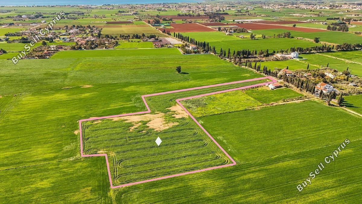 18,800 SQM Agricultural Land for sale in Meneou, Larnaca: https://www.buysellcyprus.com/property-for-sale/larnaca/meneou/land-for-sale-meneou-larnaca-1796735.html (www.buysellcyprus.com)