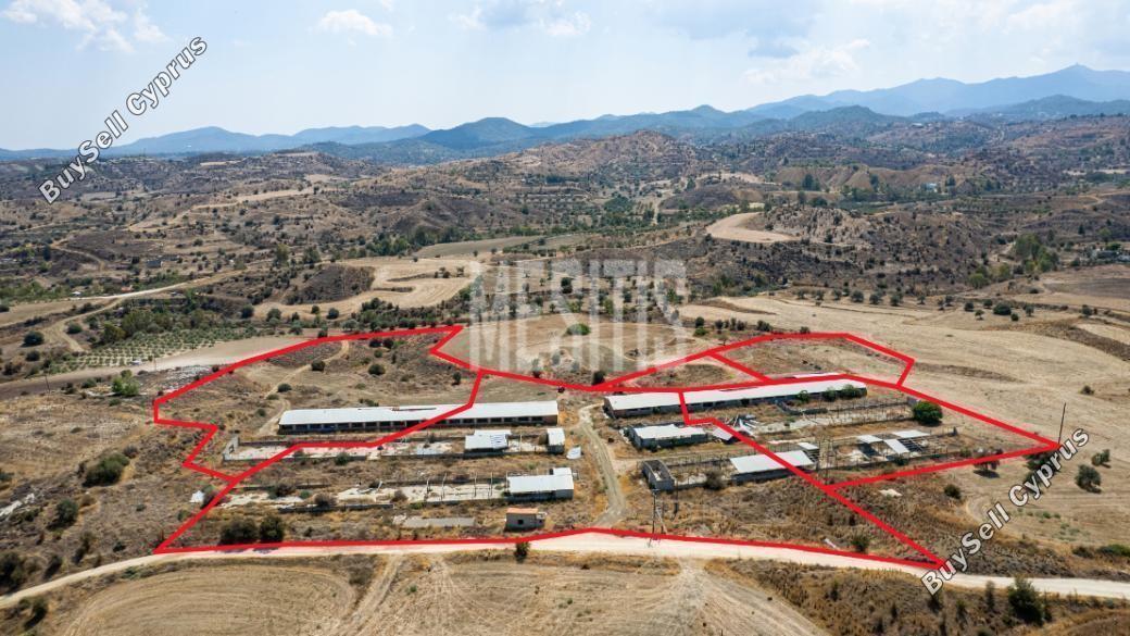 37,460 SQM Land for sale in Analiontas, Nicosia: https://www.buysellcyprus.com/property-for-sale/nicosia/analiontas/land-for-sale-analiontas-nicosia-1796817.html (www.buysellcyprus.com)