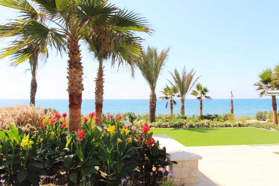 New commercial in Larnaca № 153374: https://dom.com.cy/en/catalog/sale/153374/ (dom.com.cy)