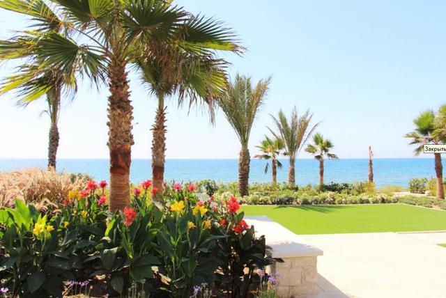 New commercial in Larnaca № 153374: https://dom.com.cy/en/catalog/sale/153374/ (dom.com.cy)