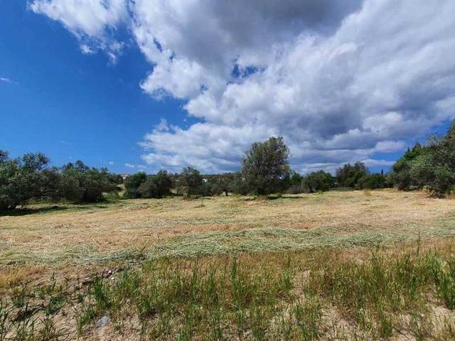 Residential land 4348 m²: https://www.bazaraki.com/adv/5798196_residential-land-4348-m2 (www.bazaraki.com)