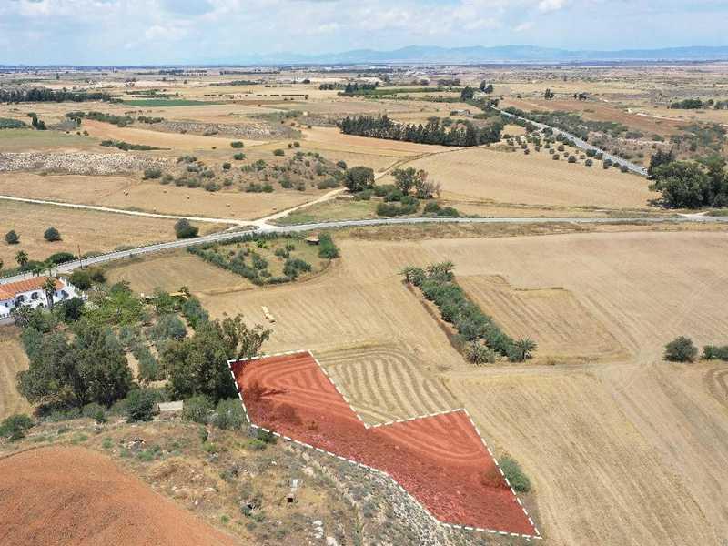 Agricultural land 1645 m²: https://www.bazaraki.com/adv/5757041_agricultural-land-1645-m2 (www.bazaraki.com)