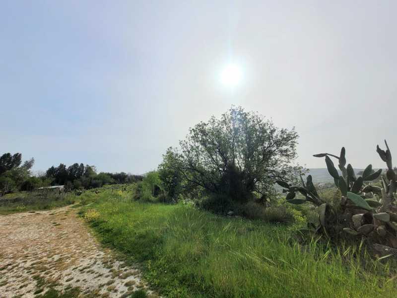 Residential land 2214 m²: https://www.bazaraki.com/adv/5797831_residential-land-2214-m2 (www.bazaraki.com)