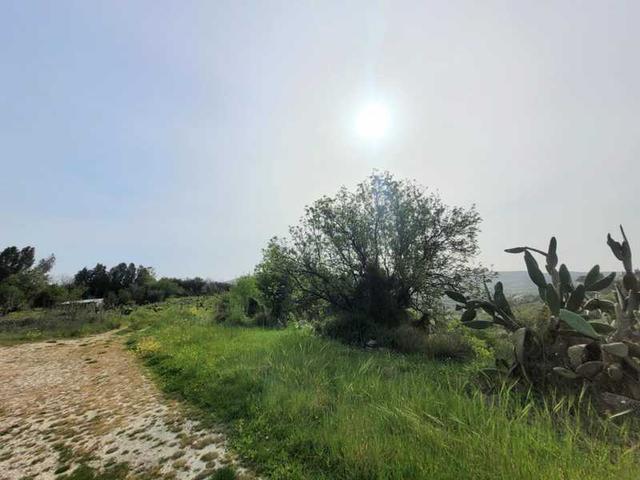 Residential land 2214 m²: https://www.bazaraki.com/adv/5797831_residential-land-2214-m2 (www.bazaraki.com)