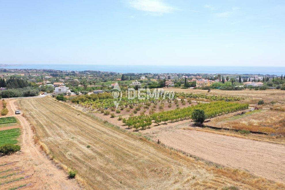 Residential Land For Sale in Peyia, Paphos - DP4818: https://www.offer.com.cy/en/residential-land-for-sale-in-peyia-paphos-dp4818/21-816447/ (www.offer.com.cy)