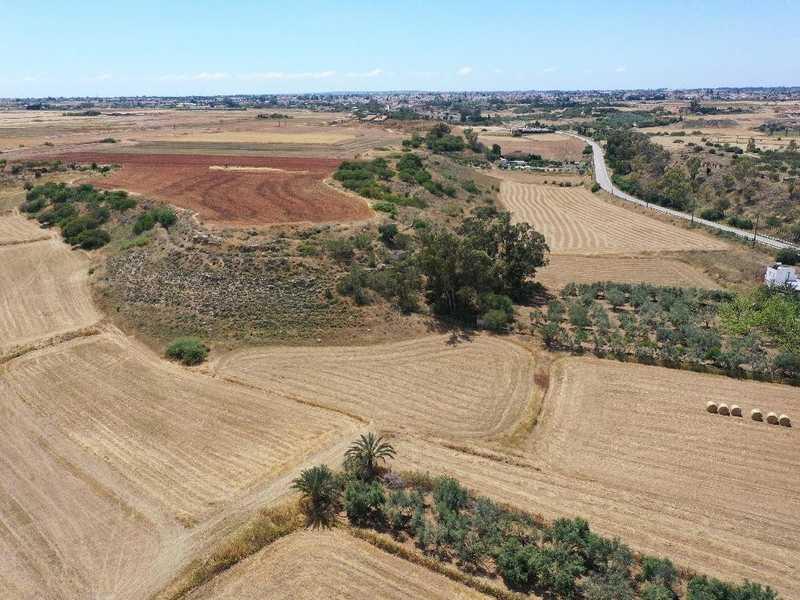 Agricultural land 1645 m²: https://www.bazaraki.com/adv/5757041_agricultural-land-1645-m2 (www.bazaraki.com)