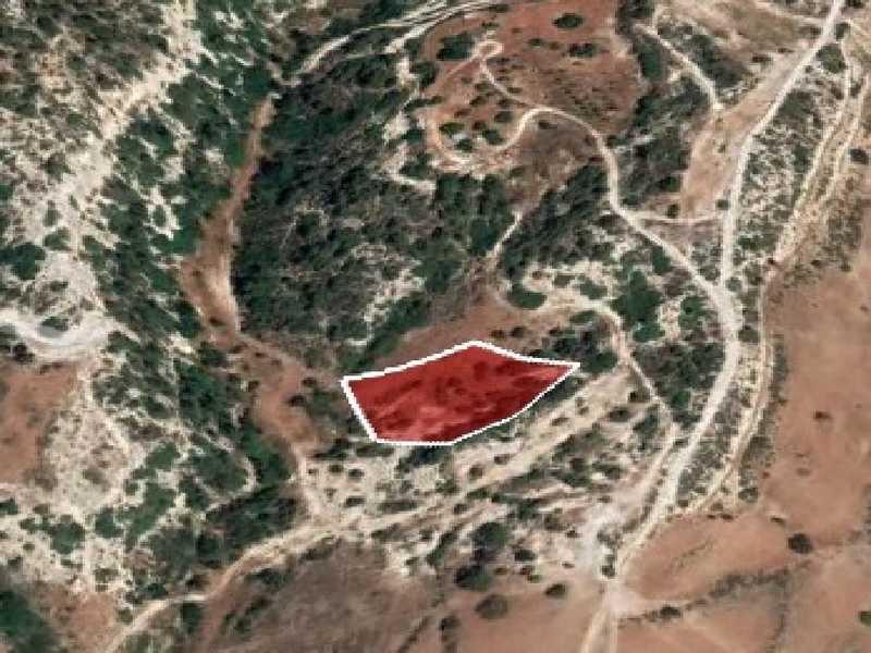 Agricultural land 3345 m²: https://www.bazaraki.com/adv/5796536_agricultural-land-3345-m2 (www.bazaraki.com)