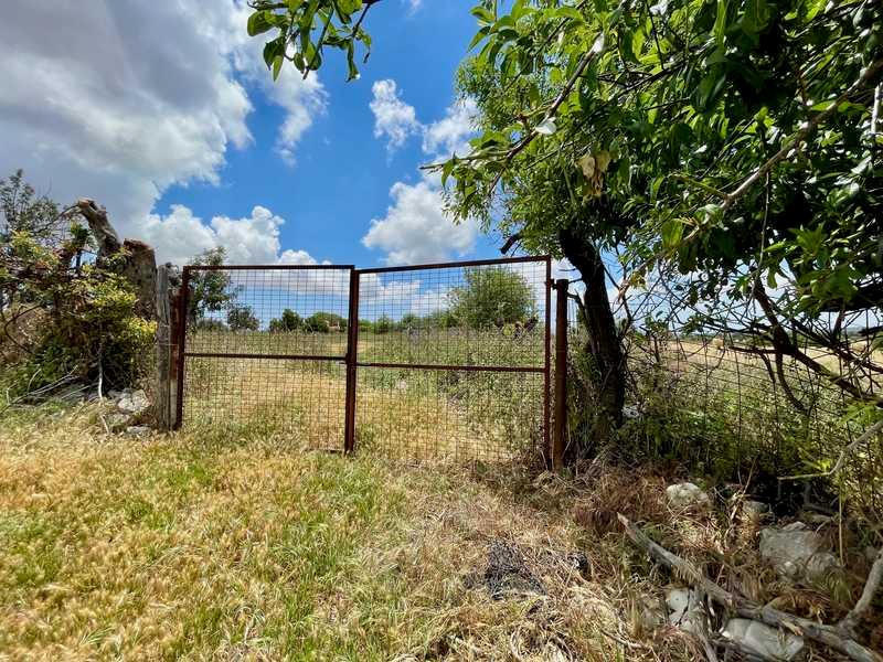 Agricultural land 10703 m²: https://www.bazaraki.com/adv/5786923_agricultural-land-10703-m2 (www.bazaraki.com)