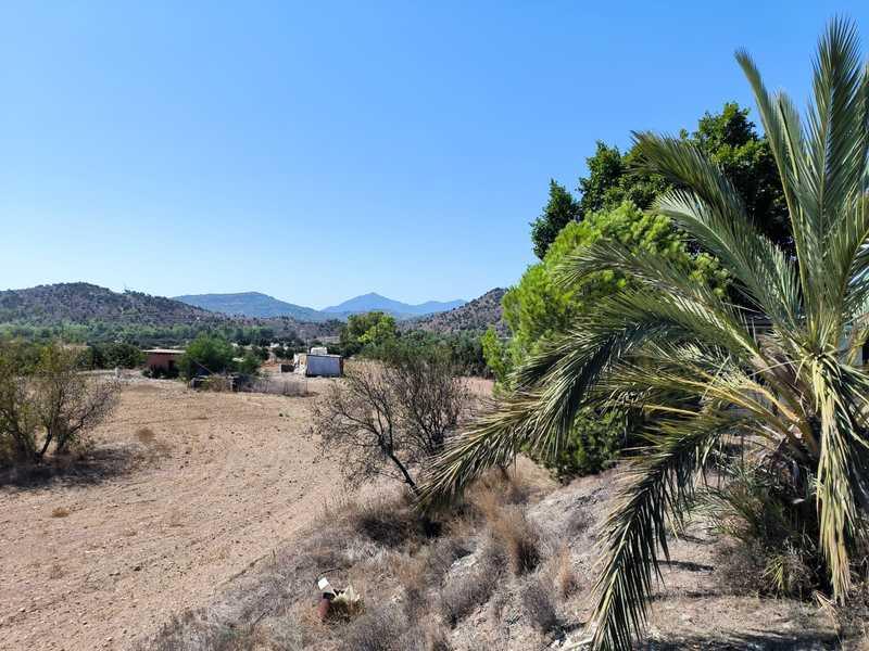 Agricultural land 12000 m²: https://www.bazaraki.com/adv/5795465_agricultural-land-12000-m2 (www.bazaraki.com)