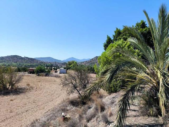 Agricultural land 12000 m²: https://www.bazaraki.com/adv/5795465_agricultural-land-12000-m2 (www.bazaraki.com)