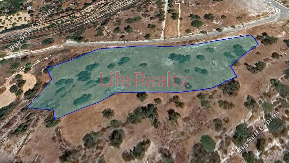 5,867 SQM Residential Land for sale in Fasoula Lemesou, Limassol: https://www.buysellcyprus.com/property-for-sale/limassol/fasoula-lemesou/land-for-sale-fasoula-lemesou-limassol-1794236.html (www.buysellcyprus.com)