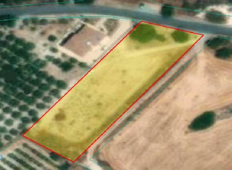 Agricultural land 3218 m²: https://www.bazaraki.com/adv/5795462_agricultural-land-3218-m2 (www.bazaraki.com)