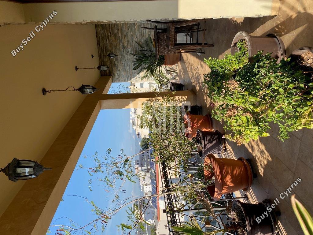 2 Bedroom Apartment to rent in Makedonitissa, Nicosia: https://www.buysellcyprus.com/property-for-rent/nicosia/makedonitissa/2-bed-apartment-to-rent-makedonitissa-nicosia-1796753.html (www.buysellcyprus.com)