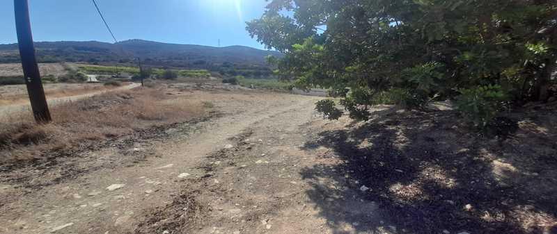 Agricultural land 3218 m²: https://www.bazaraki.com/adv/5795462_agricultural-land-3218-m2 (www.bazaraki.com)