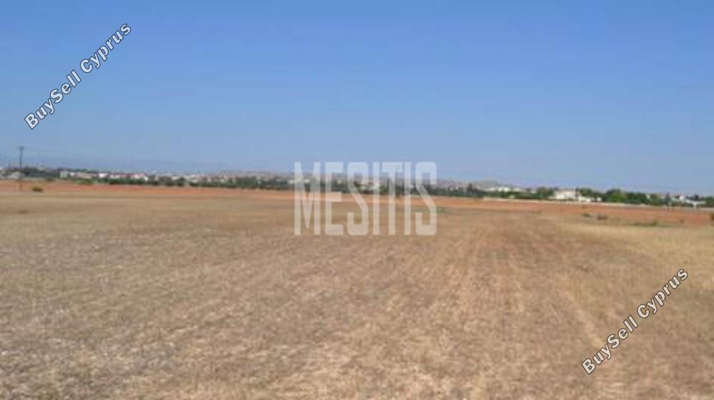 9,625 SQM Plot for sale in Geri, Nicosia: https://www.buysellcyprus.com/property-for-sale/nicosia/geri/plot-for-sale-geri-nicosia-1792926.html (www.buysellcyprus.com)