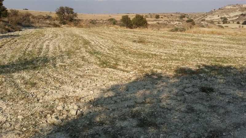 Agricultural land 8299 m²: https://www.bazaraki.com/adv/5793647_agricultural-land-8299-m2 (www.bazaraki.com)