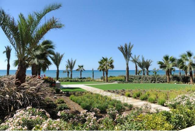 New commercial in Larnaca № 153374: https://dom.com.cy/en/catalog/sale/153374/ (dom.com.cy)