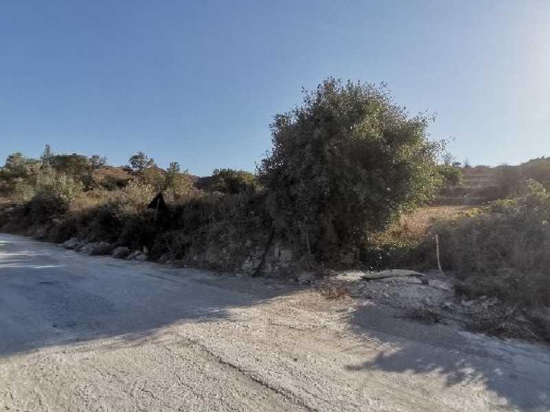 Agricultural land 19399 m²: https://www.bazaraki.com/adv/5796530_agricultural-land-19399-m2 (www.bazaraki.com)