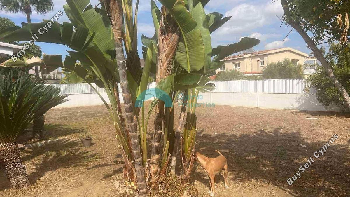 4 Bedroom Detached house for sale in Aradippou, Larnaca: https://www.buysellcyprus.com/property-for-sale/larnaca/aradippou/4-bed-detached-house-for-sale-aradippou-larnaca-1794035.html (www.buysellcyprus.com)