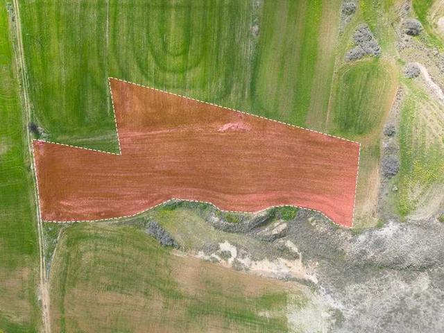 Agricultural land 7358 m²: https://www.bazaraki.com/adv/5787917_agricultural-land-7358-m2 (www.bazaraki.com)