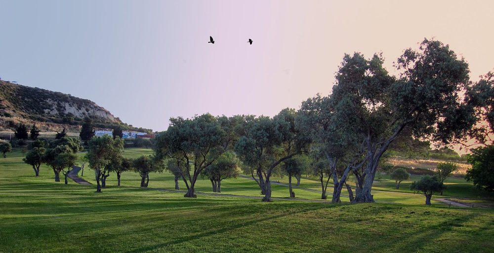 New 3-bedroom villa in Paphos № 149517: https://dom.com.cy/en/catalog/sale/149517/ (dom.com.cy)