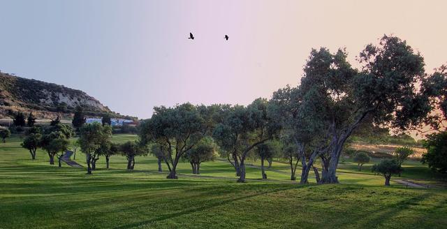 New 3-bedroom villa in Paphos № 149517: https://dom.com.cy/en/catalog/sale/149517/ (dom.com.cy)