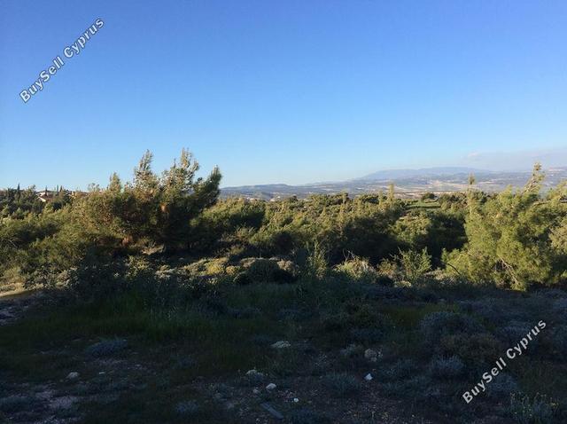 55,854 SQM Land for sale in Pissouri, Limassol: https://www.buysellcyprus.com/property-for-sale/limassol/pissouri/land-for-sale-pissouri-limassol-1800033.html (www.buysellcyprus.com)