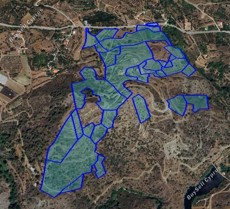 133,076 SQM Land for sale in Arakapas, Limassol: https://www.buysellcyprus.com/property-for-sale/limassol/arakapas/land-for-sale-arakapas-limassol-1795552.html (www.buysellcyprus.com)