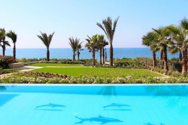 New commercial in Larnaca № 153374: https://dom.com.cy/en/catalog/sale/153374/ (dom.com.cy)