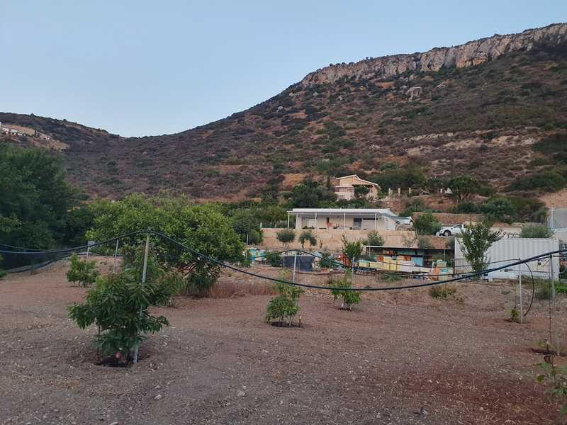 3-bedroom villa for sale: https://www.bazaraki.com/adv/5795580_3-bedroom-villa-for-sale (www.bazaraki.com)