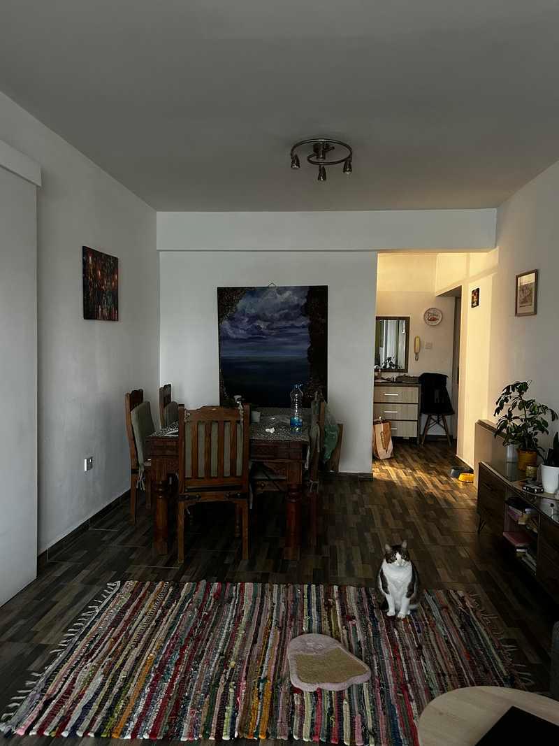 Sweet and cosy room available for a female in strovolos/egomi: https://www.bazaraki.com/adv/5798581_sweet-and-cosy-room-available-for-rent-for-a-female-in-strovolos-egomi (www.bazaraki.com)