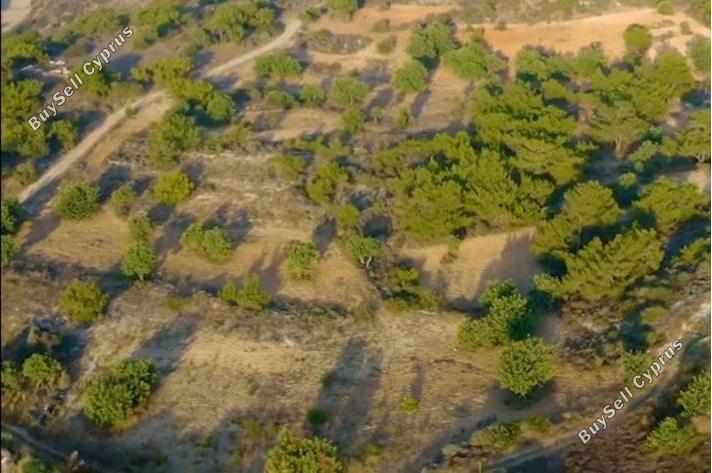 55,854 SQM Land for sale in Pissouri, Limassol: https://www.buysellcyprus.com/property-for-sale/limassol/pissouri/land-for-sale-pissouri-limassol-1800033.html (www.buysellcyprus.com)