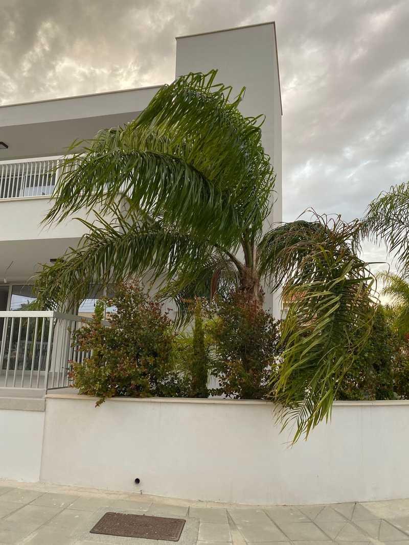 3-bedroom detached house to rent: https://www.bazaraki.com/adv/5793389_3-bedroom-detached-house-to-rent (www.bazaraki.com)