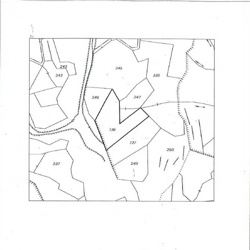 Agricultural land 6000 m²: https://www.bazaraki.com/adv/5787215_agricultural-land-6000-m2 (www.bazaraki.com)