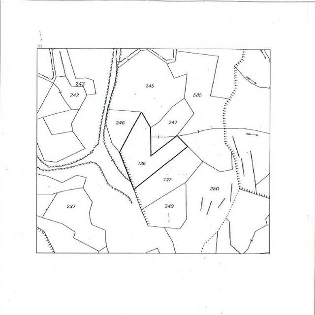 Agricultural land 6000 m²: https://www.bazaraki.com/adv/5787215_agricultural-land-6000-m2 (www.bazaraki.com)