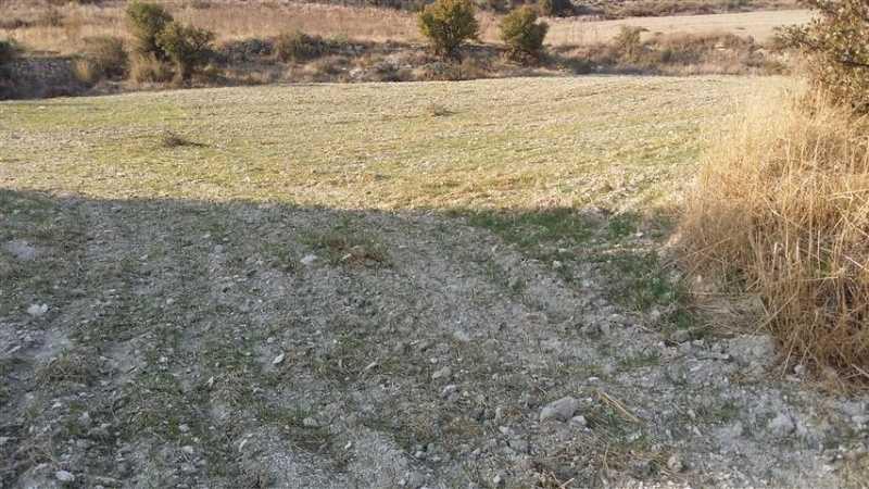Agricultural land 8299 m²: https://www.bazaraki.com/adv/5793647_agricultural-land-8299-m2 (www.bazaraki.com)