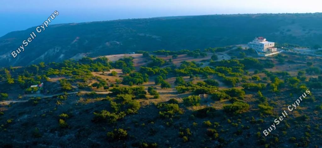 55,854 SQM Land for sale in Pissouri, Limassol: https://www.buysellcyprus.com/property-for-sale/limassol/pissouri/land-for-sale-pissouri-limassol-1800033.html (www.buysellcyprus.com)