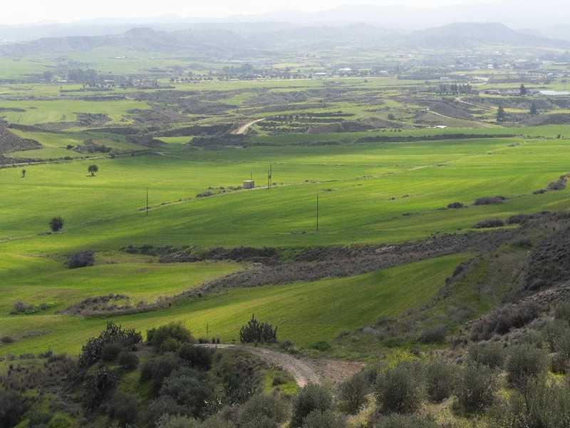 Agricultural land 7358 m²: https://www.bazaraki.com/adv/5787917_agricultural-land-7358-m2 (www.bazaraki.com)