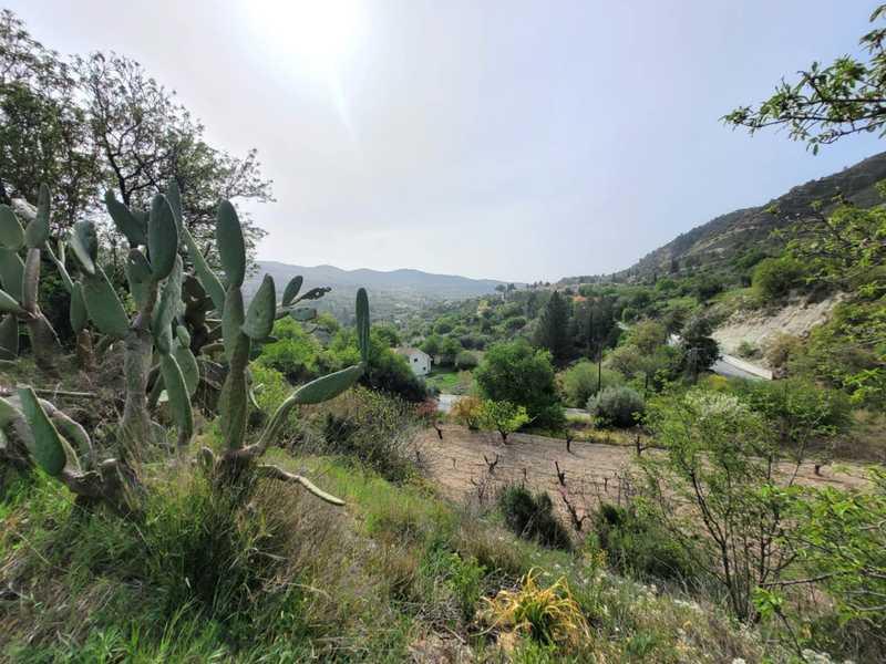 Residential land 2214 m²: https://www.bazaraki.com/adv/5797831_residential-land-2214-m2 (www.bazaraki.com)