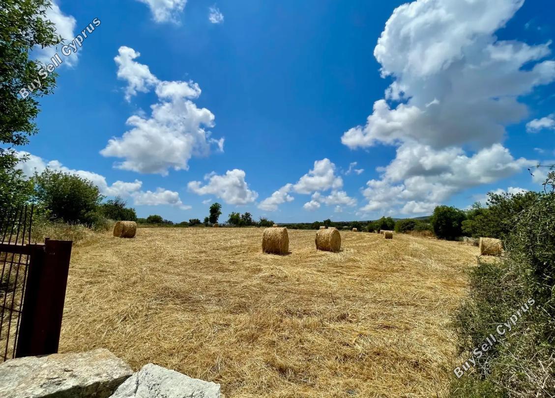 10,703 SQM Residential Land for sale in Anogyra, Limassol: https://www.buysellcyprus.com/property-for-sale/limassol/anogyra/land-for-sale-anogyra-limassol-1802151.html (www.buysellcyprus.com)